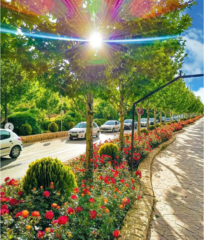 کفپوش بتنی در پارک کوهستانی دراک